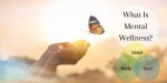 mental wellness