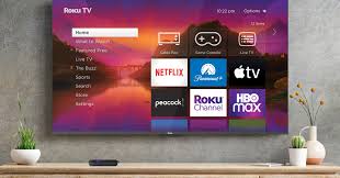 Roku app black screen fix customer support