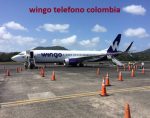 wingo telefono colombia