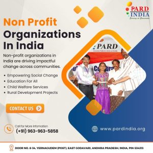 Non Profit Organization in India