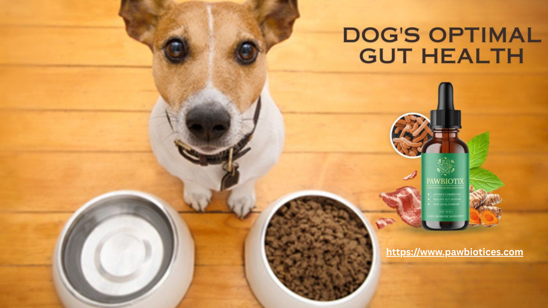 Pawbiotix Official Website Price & Pawbiotix Reviews for Dogs - My Care Blog