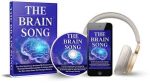 the brain song