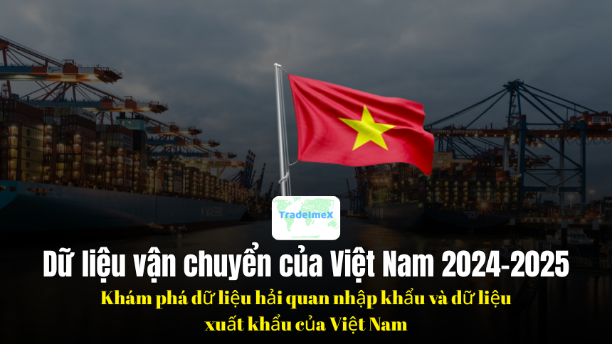 Dữ liệu vận chuyển của Việt Nam 2024–2025: Khám phá dữ liệu hải quan nhập khẩu và dữ liệu xuất khẩu của Việt Nam