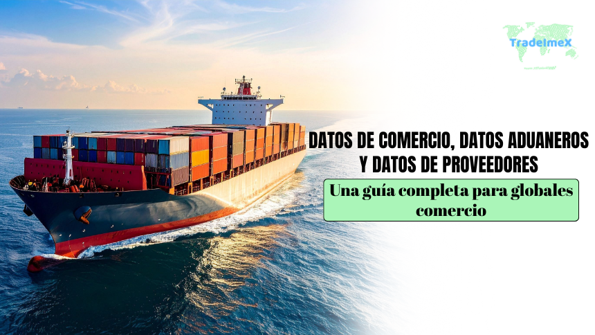 Datos de comercio, datos aduaneros y datos de proveedores: Una guía completa para globales comercio