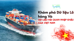 vietnam import customs data