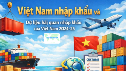 Việt Nam nhập khẩu va Dữ liệu hải quan nhập khẩu của Việt Nam 2024-25