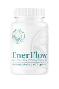 EnerFlow
